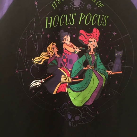 HOCUS POCUS 2021 SWEATSHIRT HOODIE HOODED Adult 2  XL Disney - Picture 3 of 4